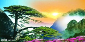 黄山迎客松日出背景