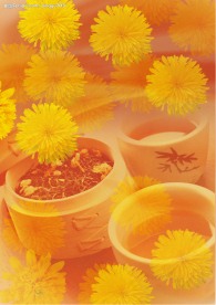 美味花茶