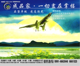招贴