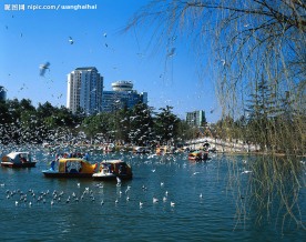 珠海城市风景，珠海高楼大厦