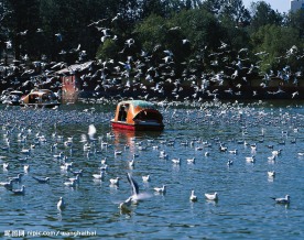 珠海城市风景，珠海公园
