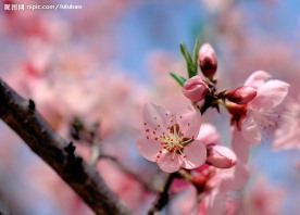 春暖花开