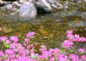 春暖花开