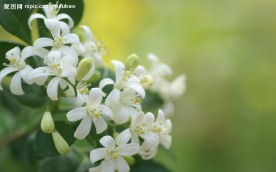 春暖花开