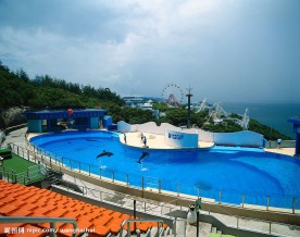 香港城市素材，香港景色