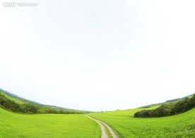 草原草地