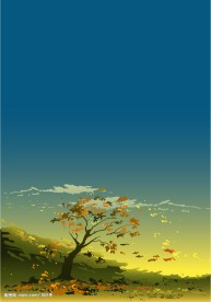 风景04