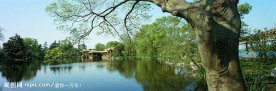 公园秀丽景色
