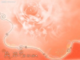 2008魅派数码{爱的传说10