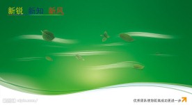 清新的绿色背景