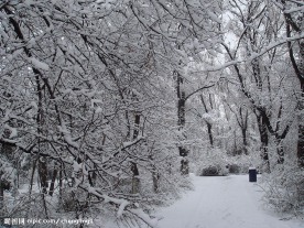 长春的雪