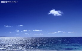 大海