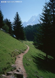 树林里的山坡小路