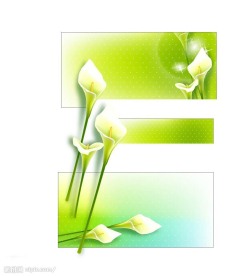 百合花墙纸