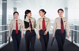 地税 税务 任务 职业人物 女性