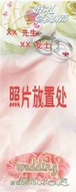宝宝模板