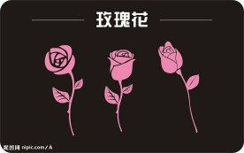 玫瑰花矢量图