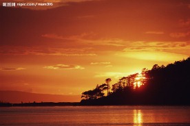 夕阳红背景元素