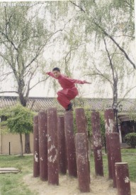 少林武术大图2