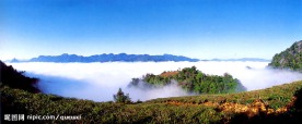云南思茅茶山