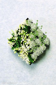 花卉艺术