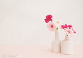 室内插花