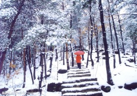 蒙山风光