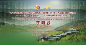 长洽会开幕式背景