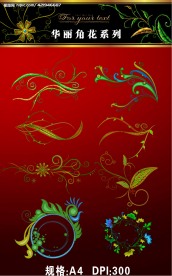 华丽角花 花纹图片3