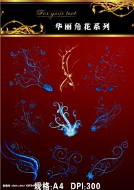 华丽角花 花纹图片4