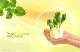 高清晰[新鲜小白菜]分层PSD-14