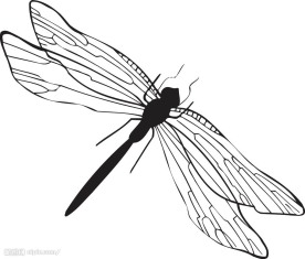 蜻蜓矢量图