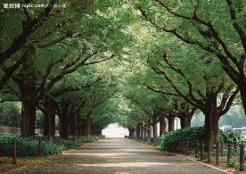 道路美景