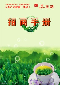 招商手册