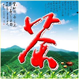 茶山