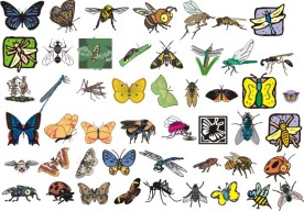 98种飞虫形态矢量图