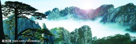 黄山迎客松