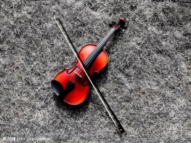 小提琴