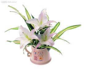 花饰品