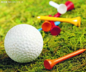 高尔夫球,球T