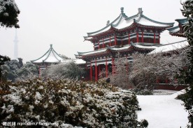 烈士公园雪景2