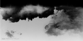 中国水墨画册