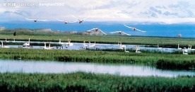 天鹅湖