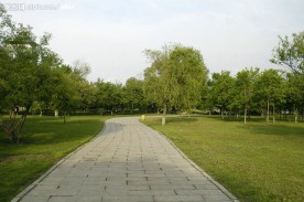 绿荫石板路
