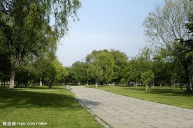 绿荫石板路
