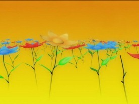 开花动态素材
