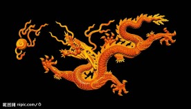 飞龙夺宝