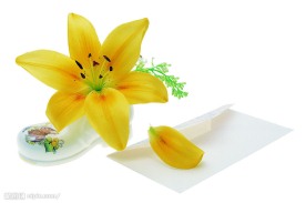 花饰品