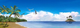 热带风景