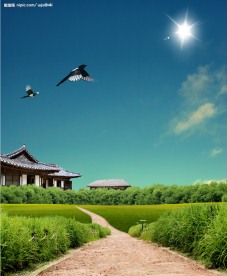 乡村风景